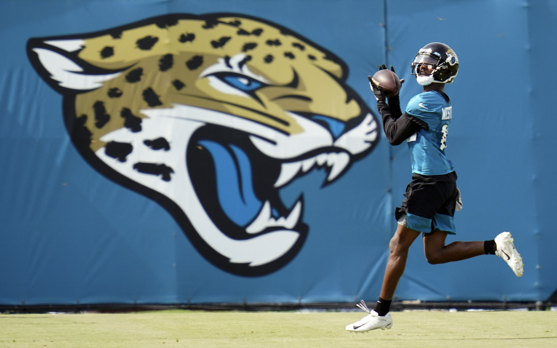 Jacksonville Jaguars wide receiver Dede Westbrook